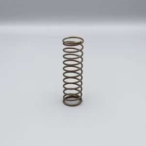 Lock Plate Spring (Molnar)