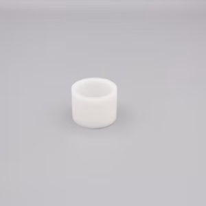 Carriage Roller Bush (Molnar)